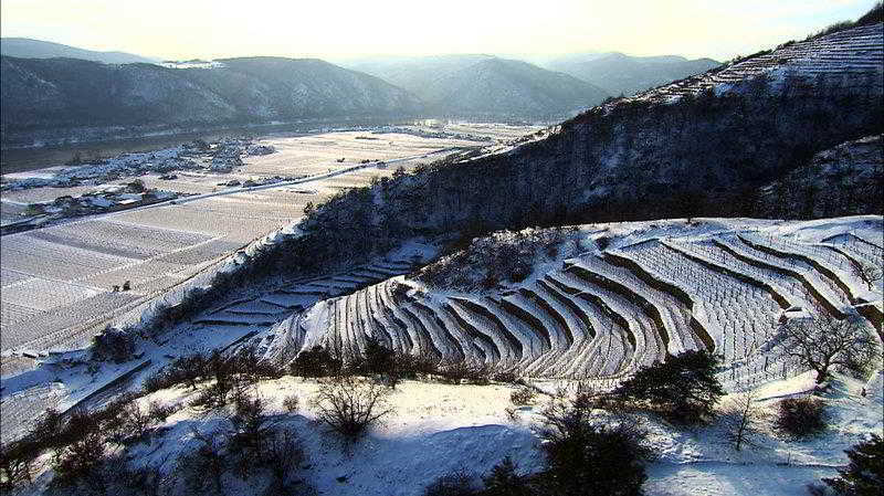 Landhotel Wachau เอมแมร์สดอร์ฟ อัน แดร โดเนา ภายนอก รูปภาพ