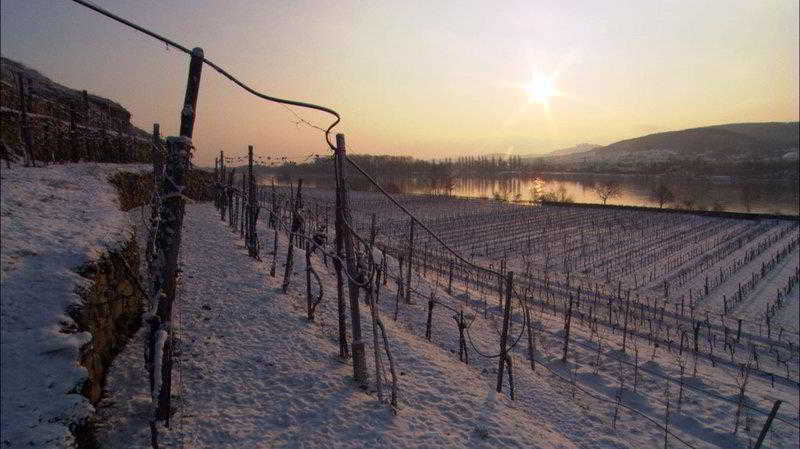 Landhotel Wachau เอมแมร์สดอร์ฟ อัน แดร โดเนา ภายนอก รูปภาพ